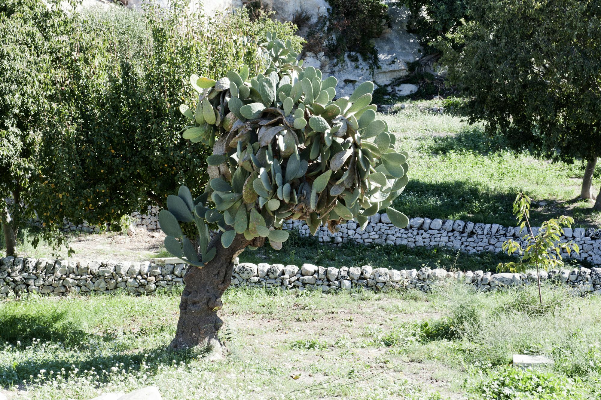 Valle Dell'Acanto Módica Exterior foto